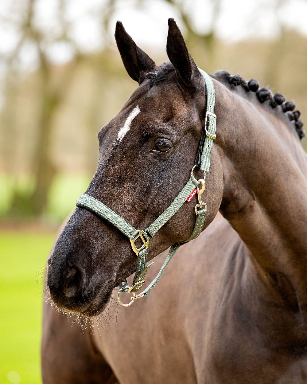 LeMieux Essential Yard Headcollar - Image 8