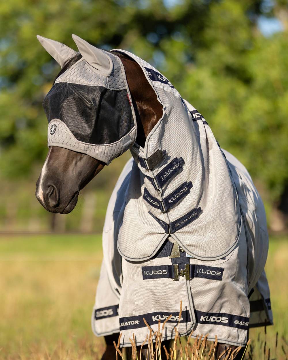 LeMieux Gladiator Half Fly Mask - Image 3