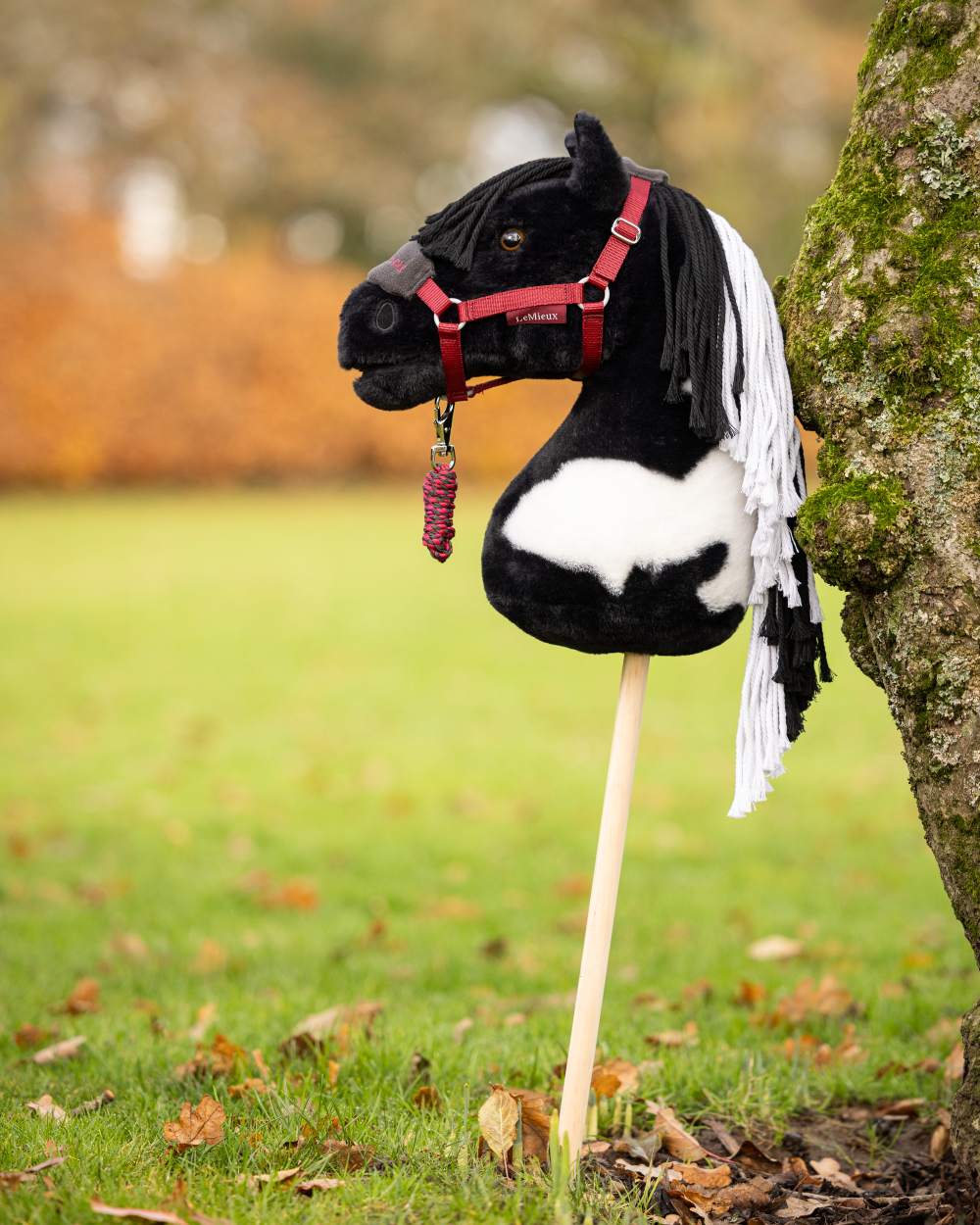 LeMieux Hobby Horse - Image 8