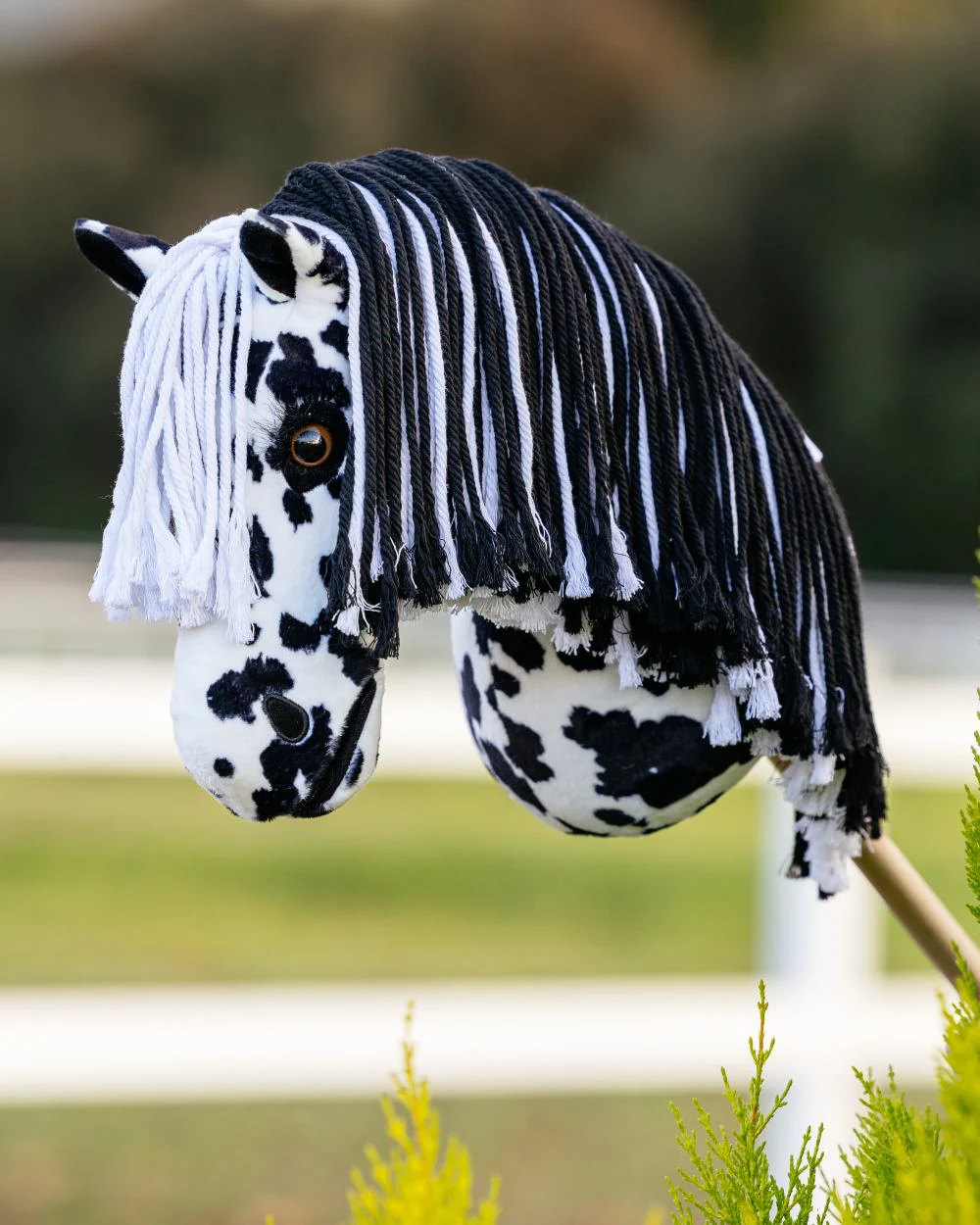 LeMieux Hobby Horse Dakota - Image 3
