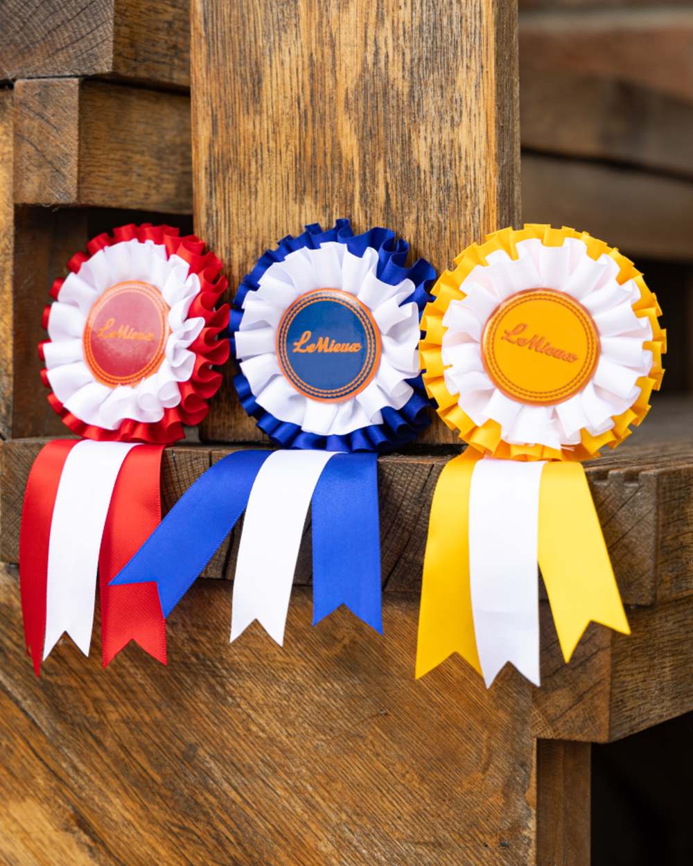 LeMieux Hobby Horse Rosette Pack - Image 5