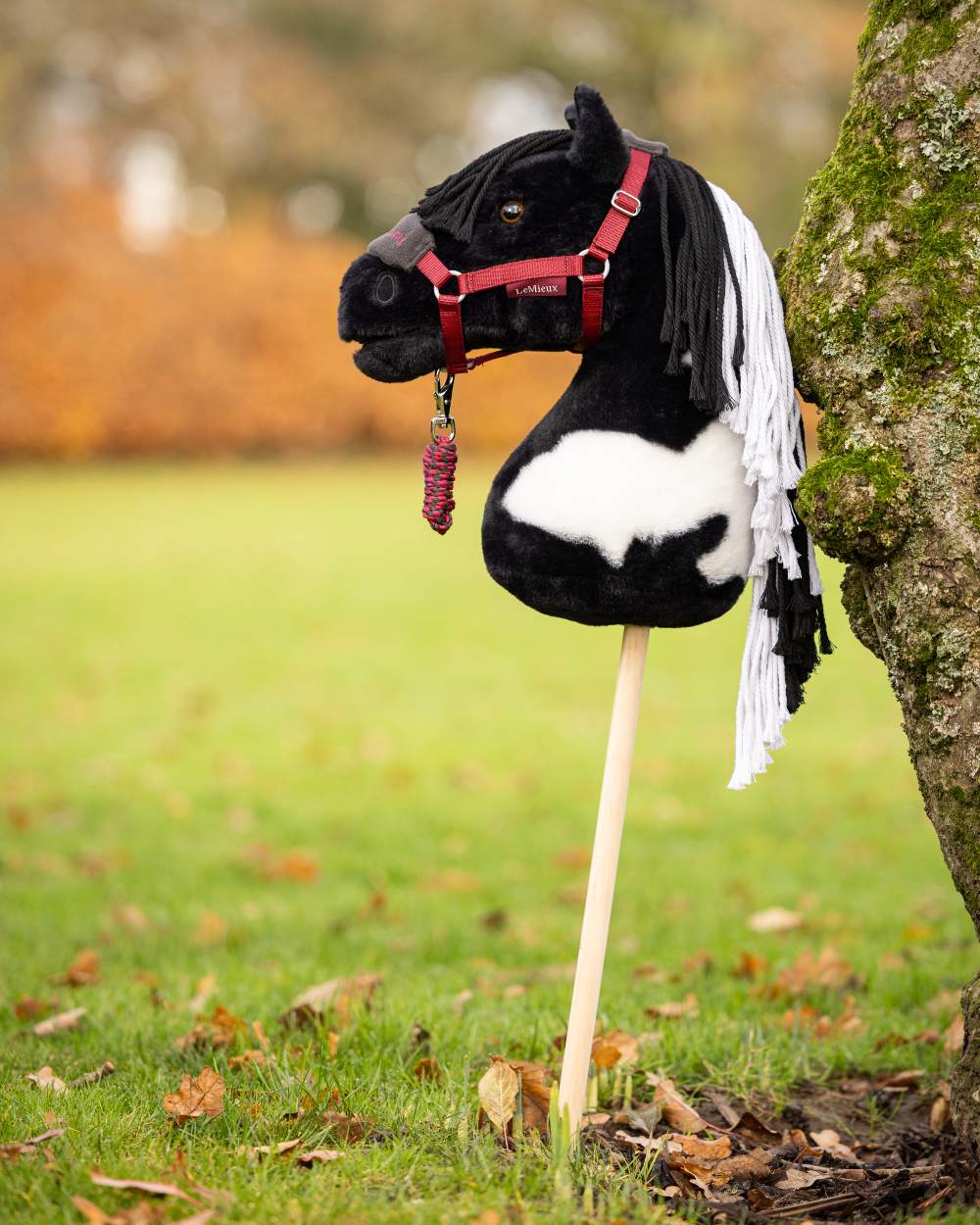 LeMieux Hobby Horse Vogue Headcollar - Image 6