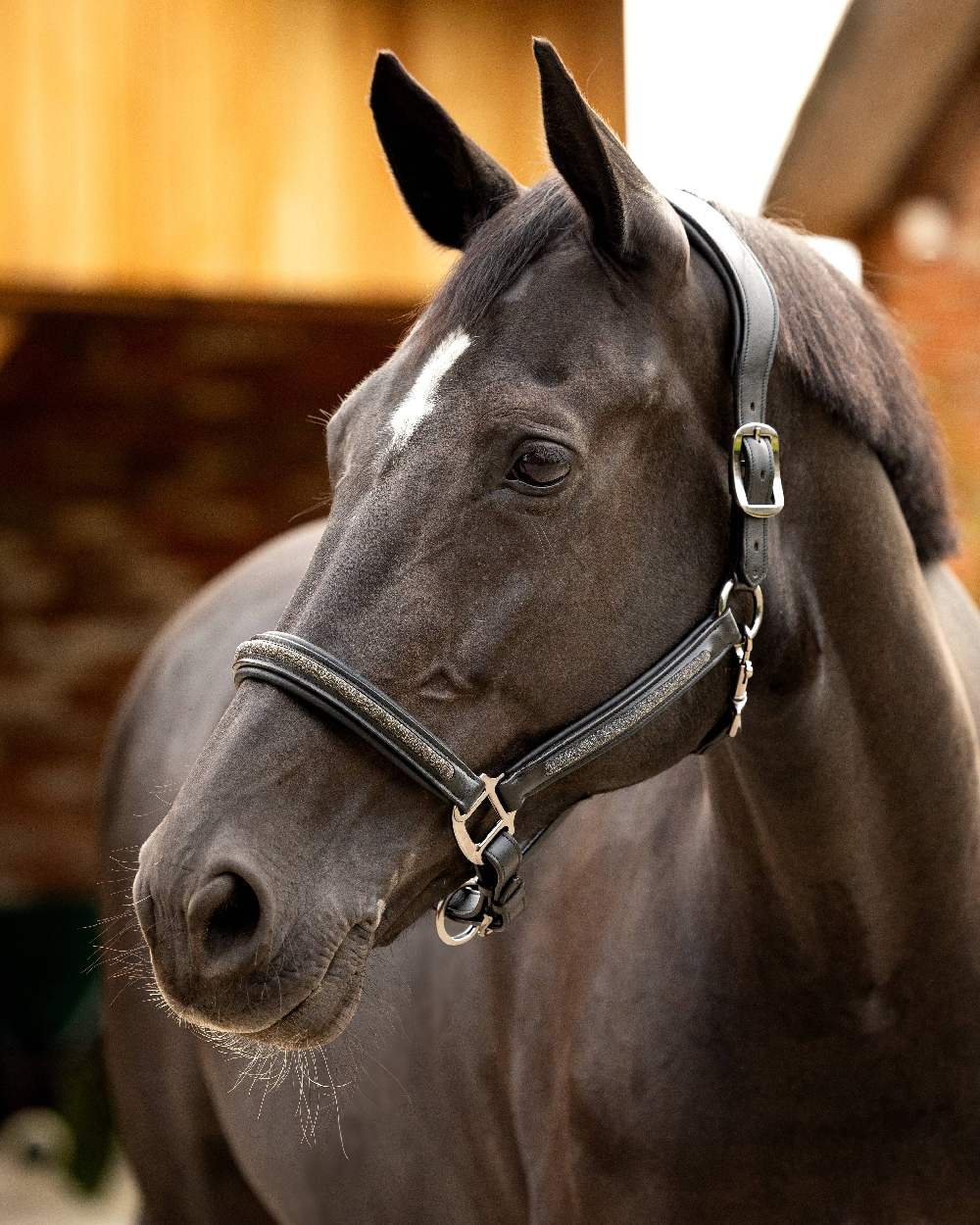 LeMieux Leather Crystal Headcollar - Image 2