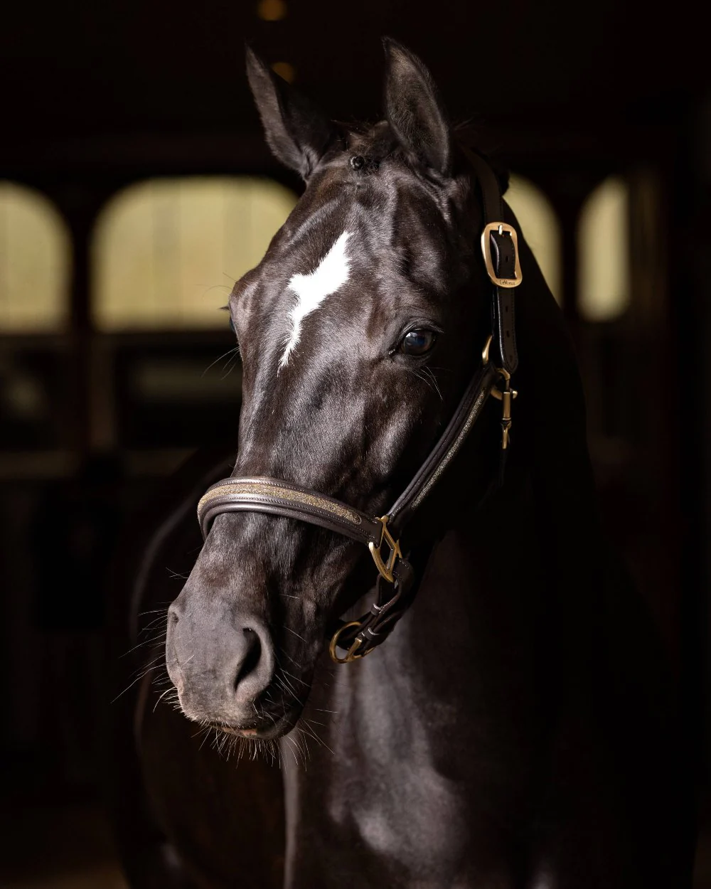 LeMieux Leather Crystal Headcollar - Image 6