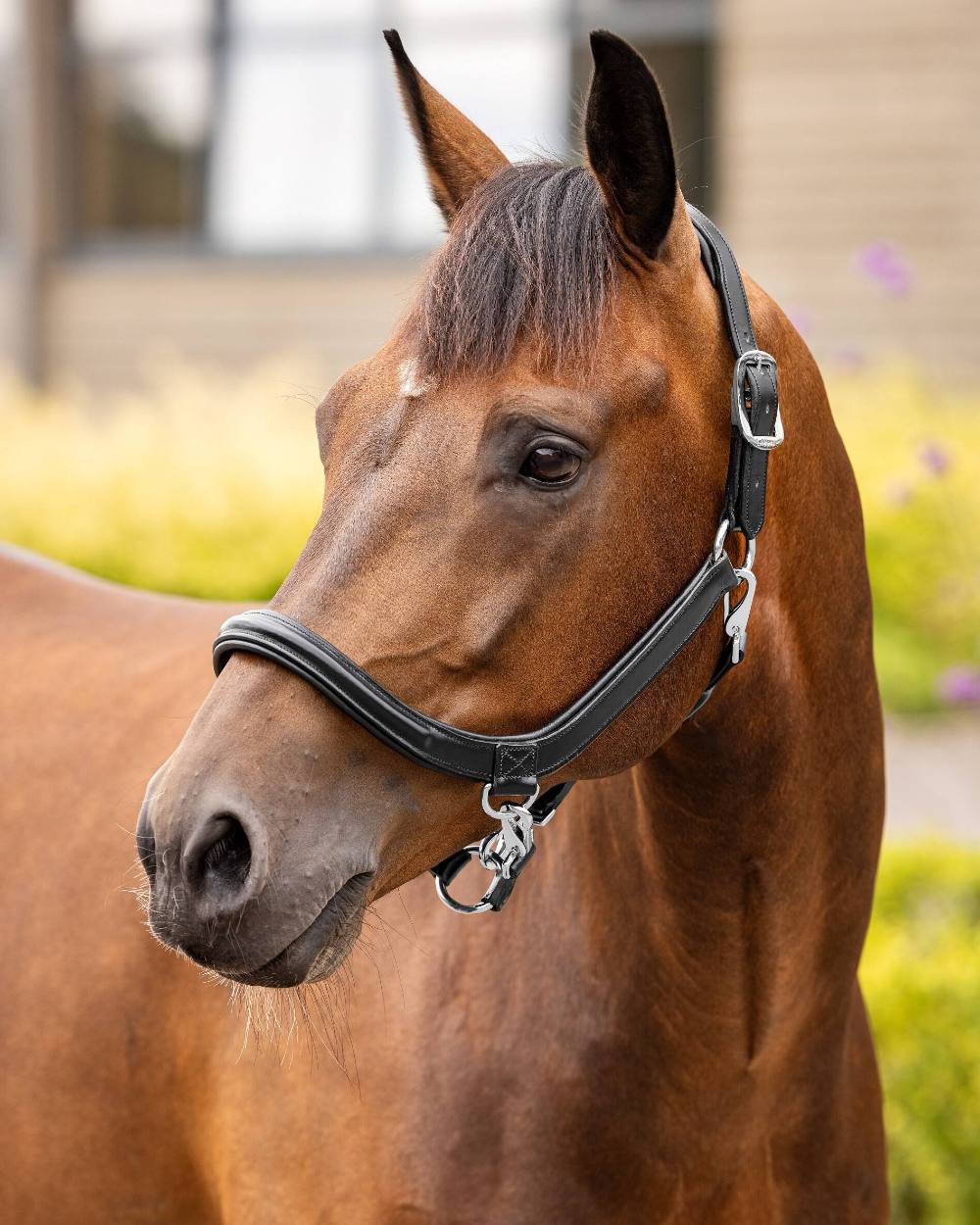 LeMieux Leather Grooming Headcollar - Image 3