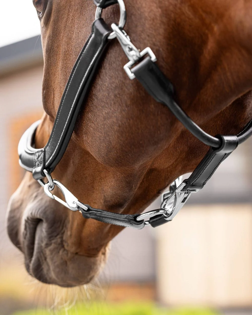 LeMieux Leather Grooming Headcollar - Image 4