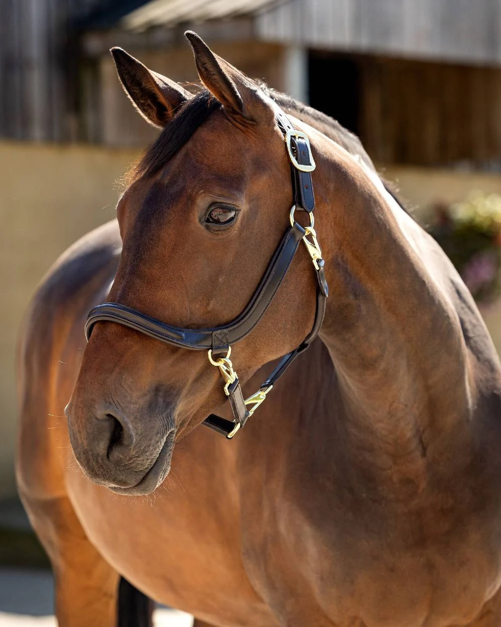LeMieux Leather Grooming Headcollar - Image 6