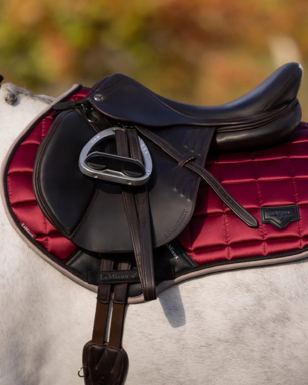 LeMieux Loire Classic Close Contact Square - Image 3