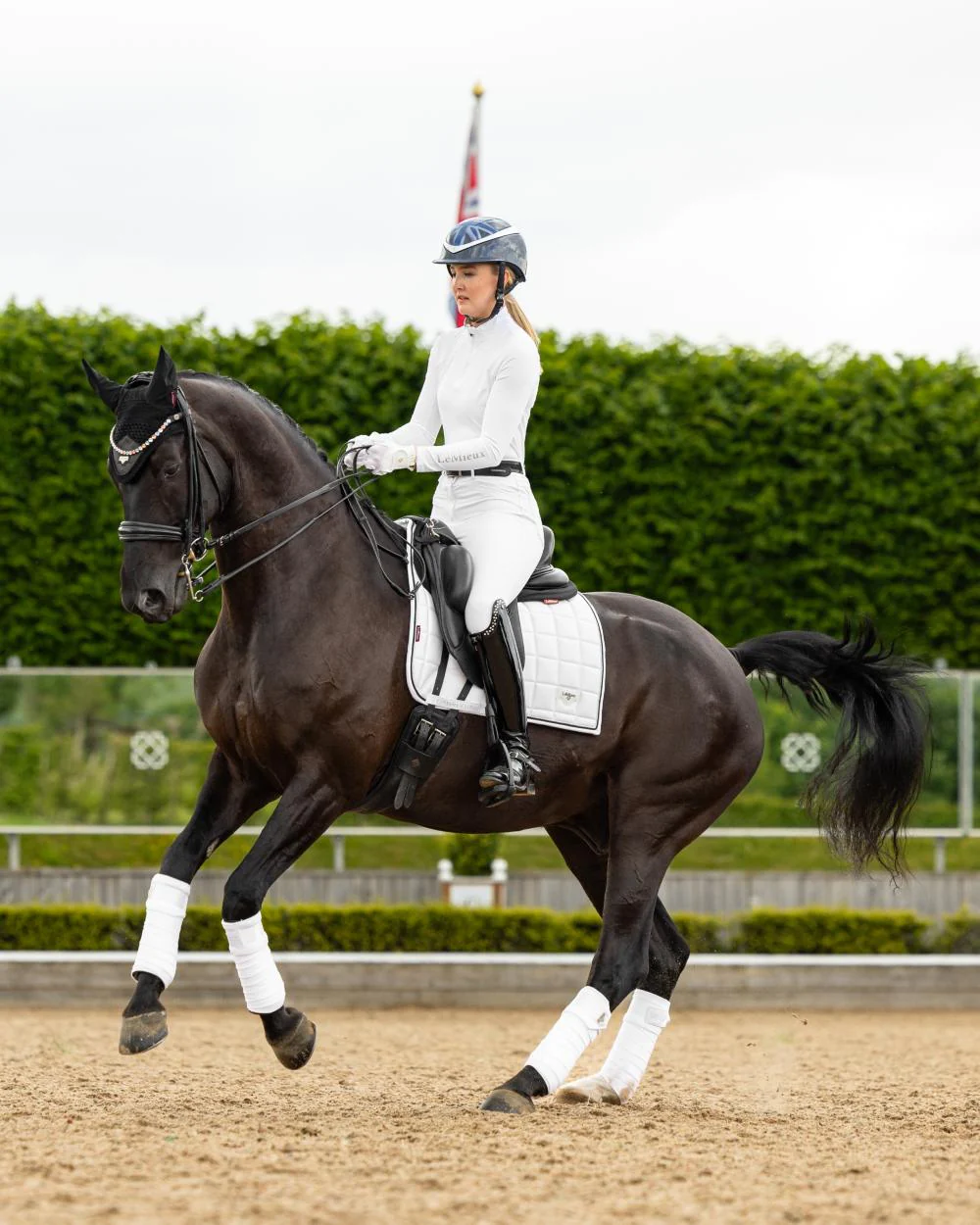 LeMieux Loire Dressage Square - Image 10