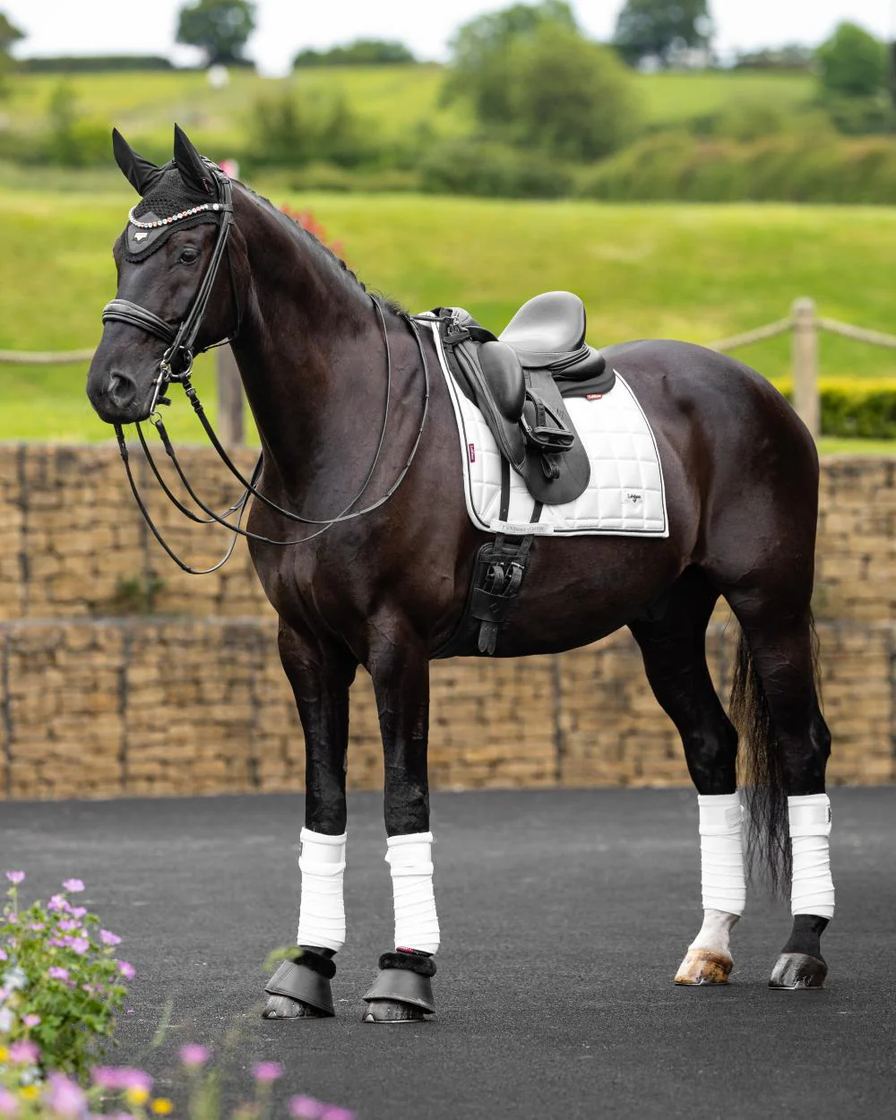LeMieux Loire Dressage Square - Image 11