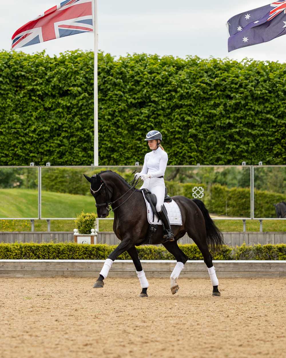 LeMieux Loire Dressage Square - Image 13
