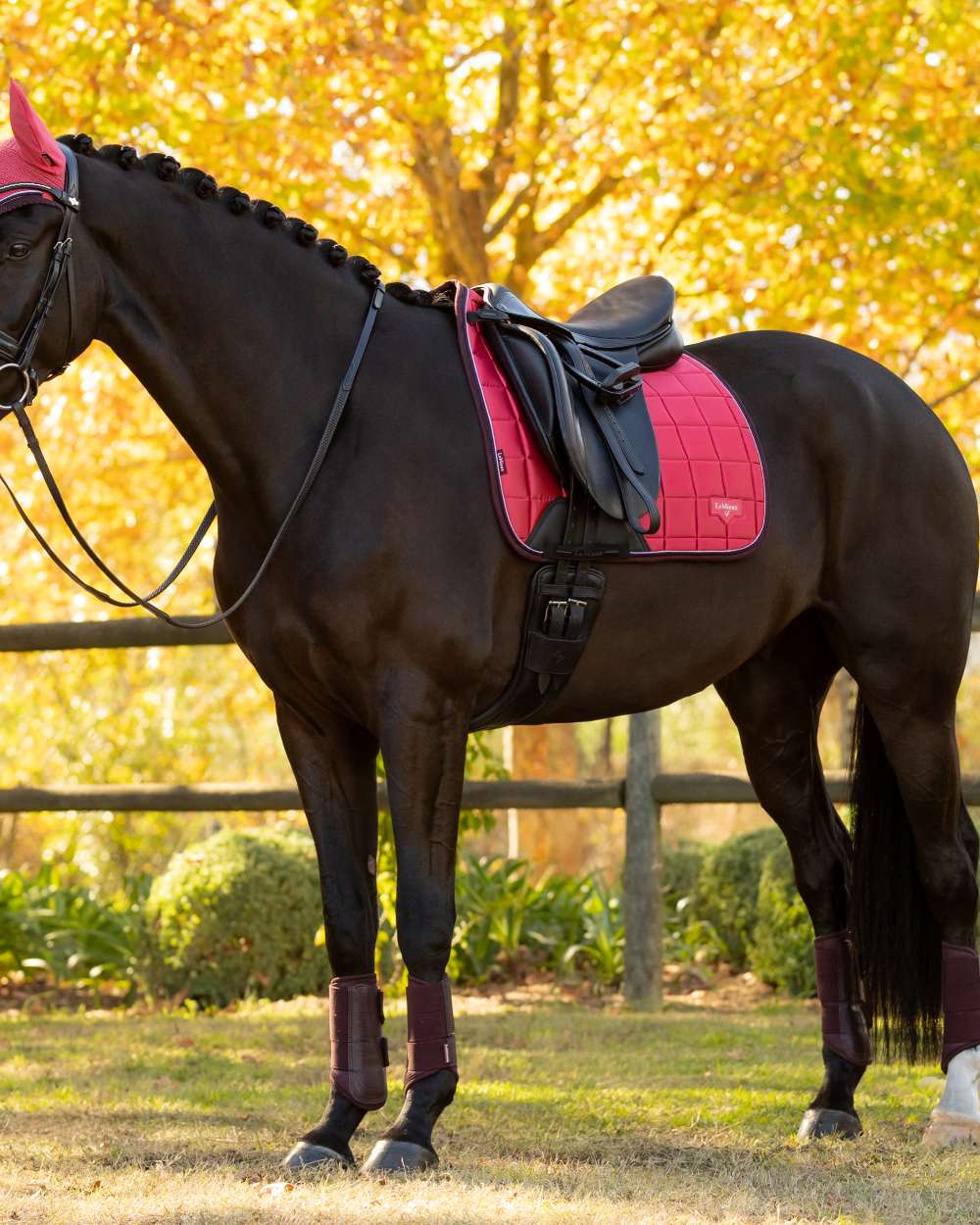 LeMieux Loire Dressage Square - Image 16
