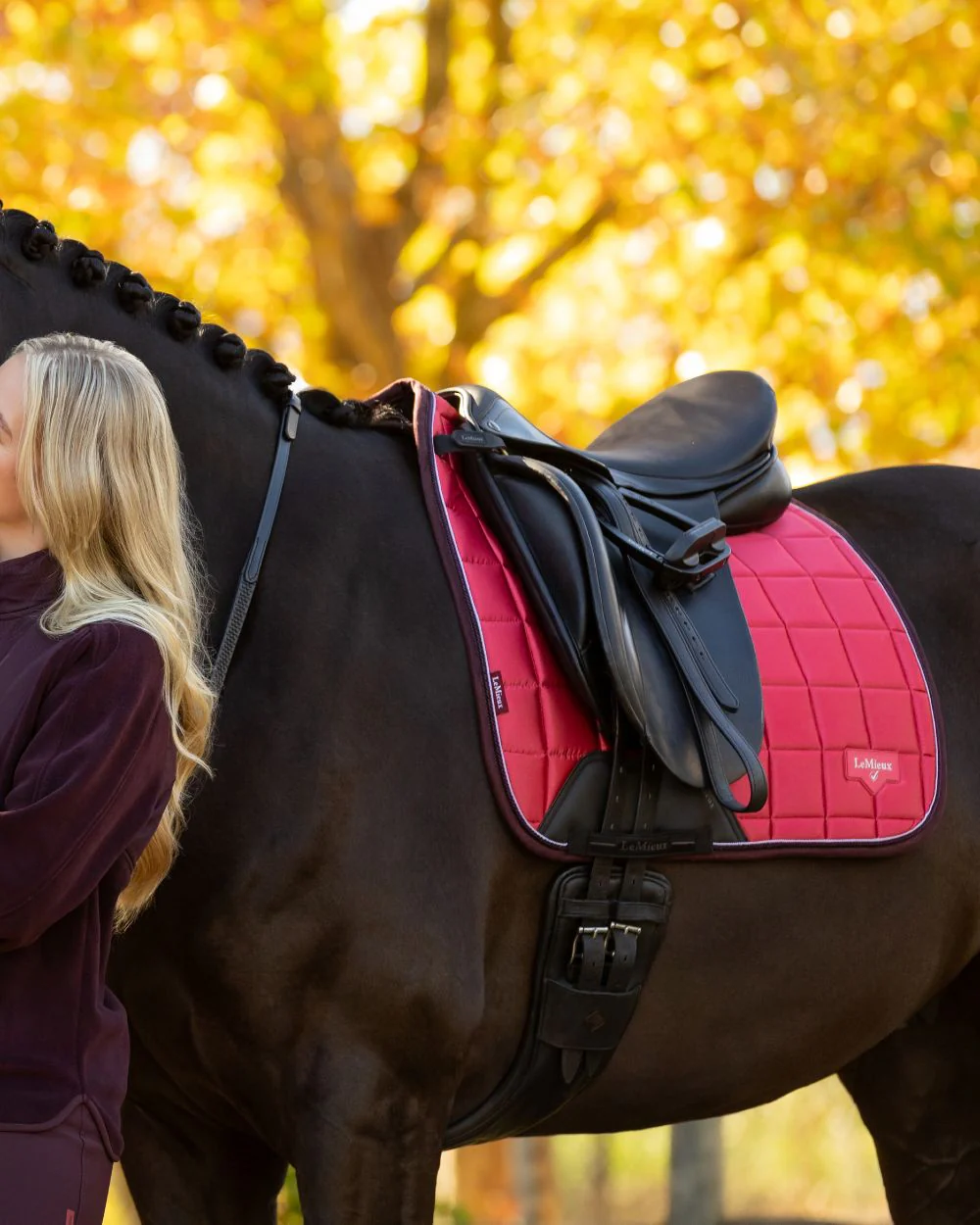 LeMieux Loire Dressage Square - Image 17