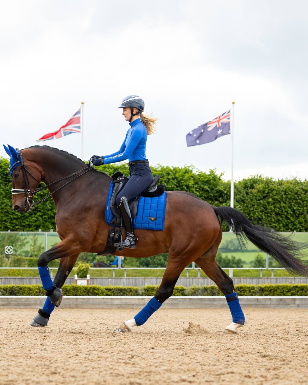 LeMieux Loire Dressage Square - Image 2