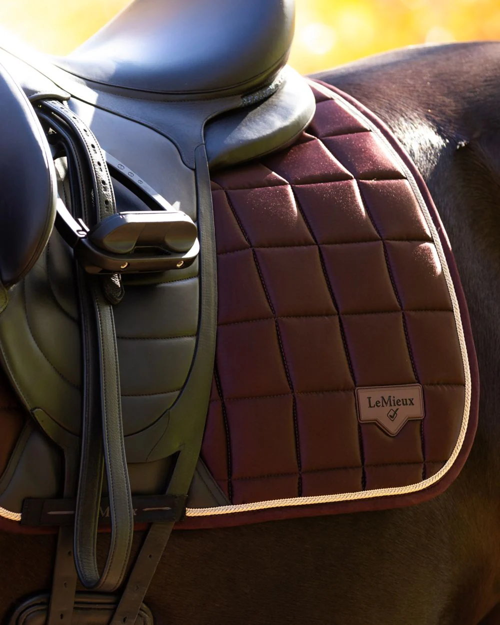 LeMieux Loire Dressage Square - Image 20