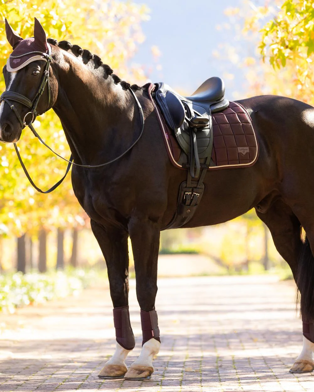LeMieux Loire Dressage Square - Image 21
