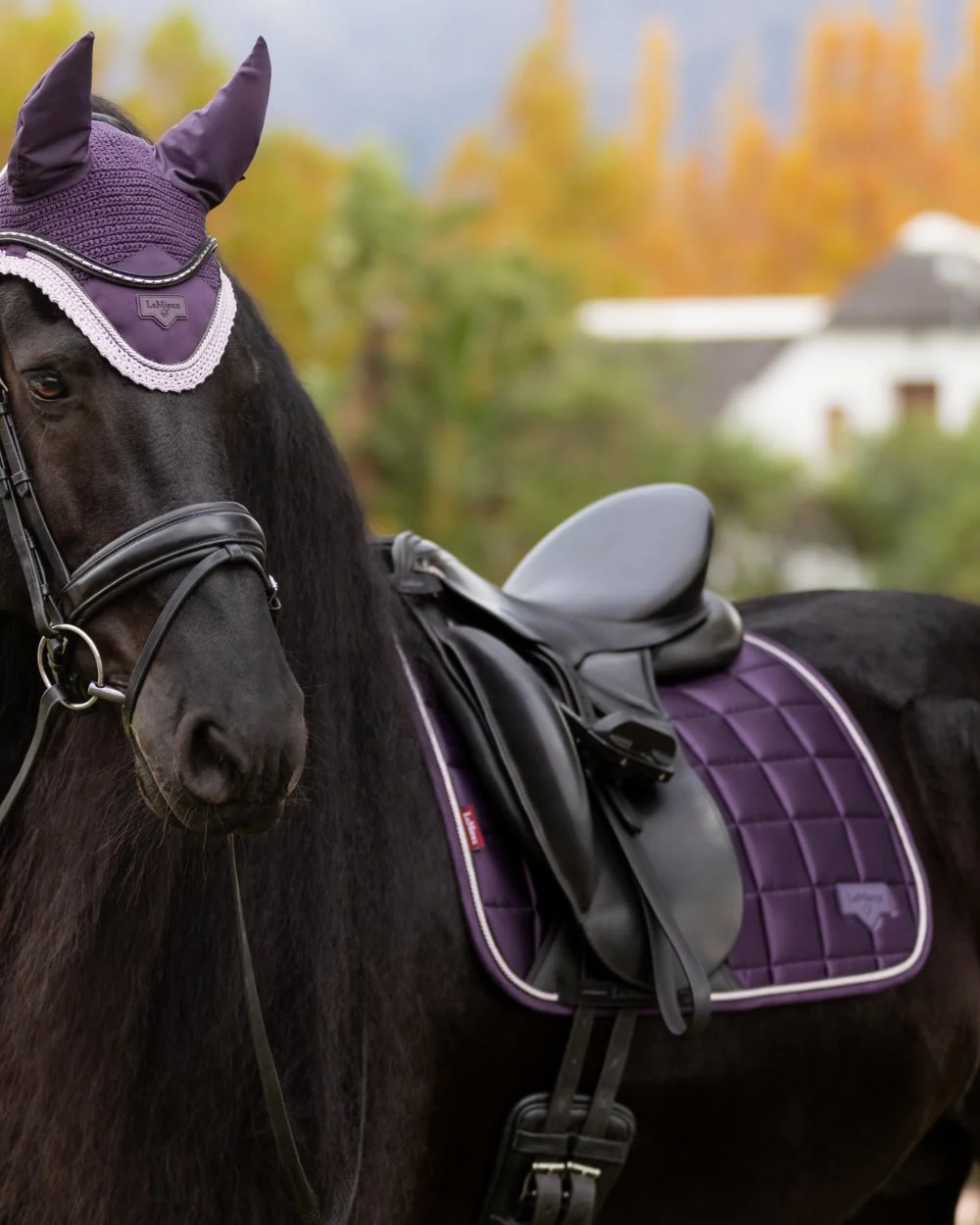 LeMieux Loire Dressage Square - Image 25