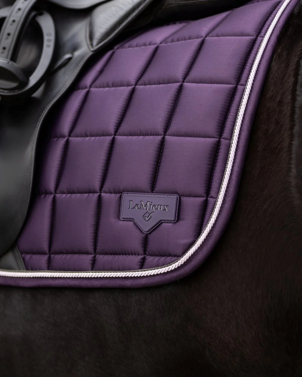 LeMieux Loire Dressage Square - Image 27