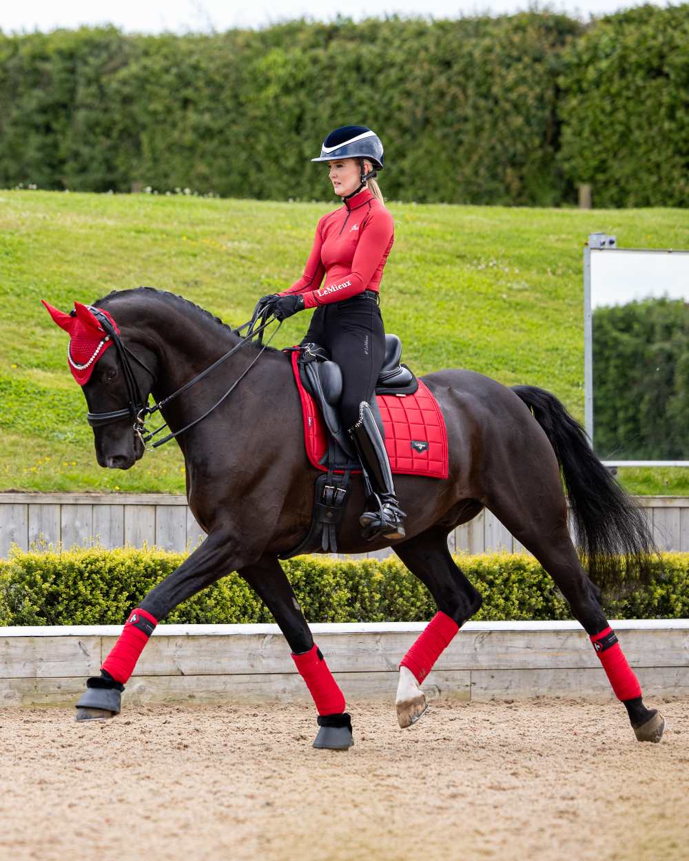 LeMieux Loire Dressage Square - Image 6