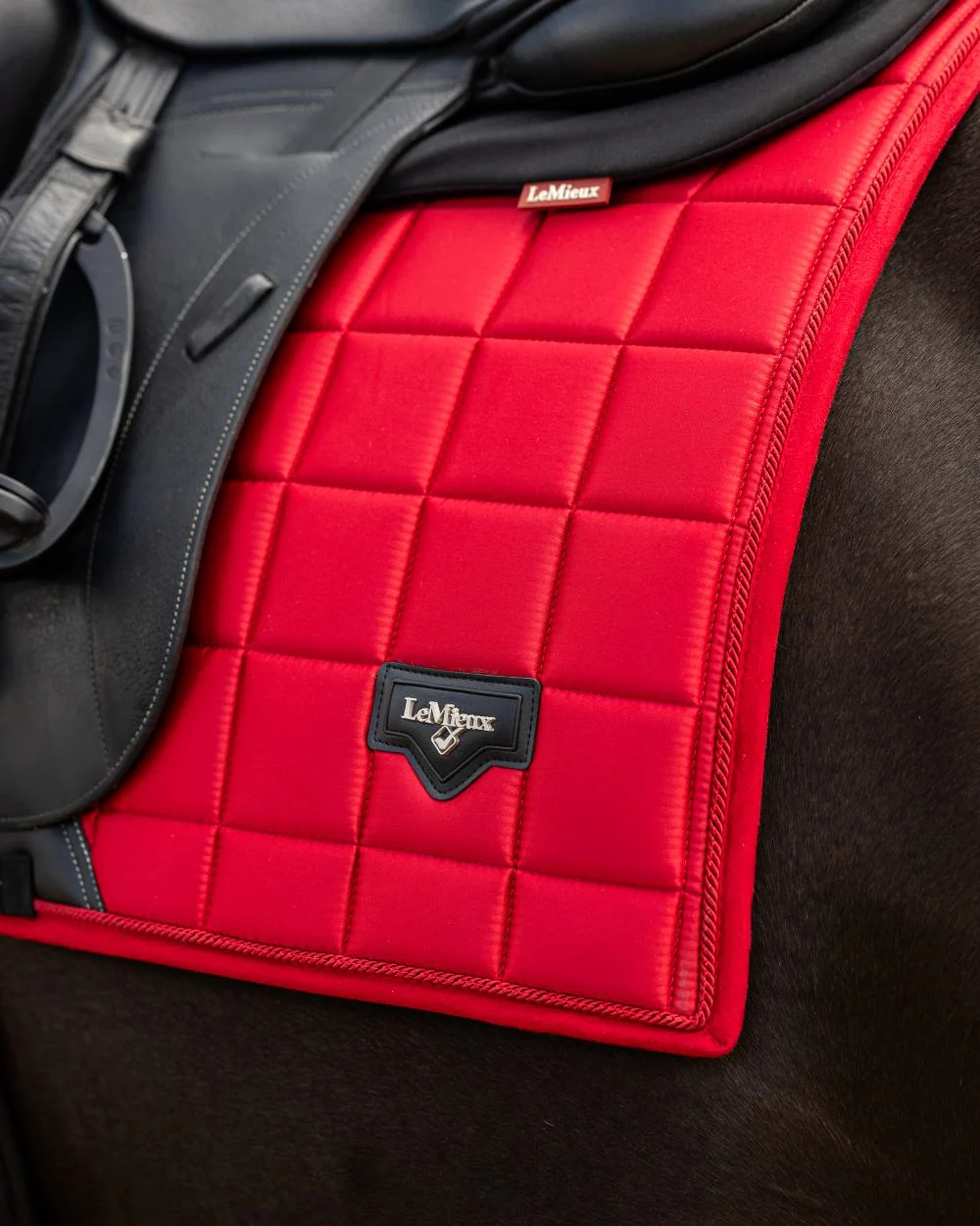 LeMieux Loire Dressage Square - Image 7