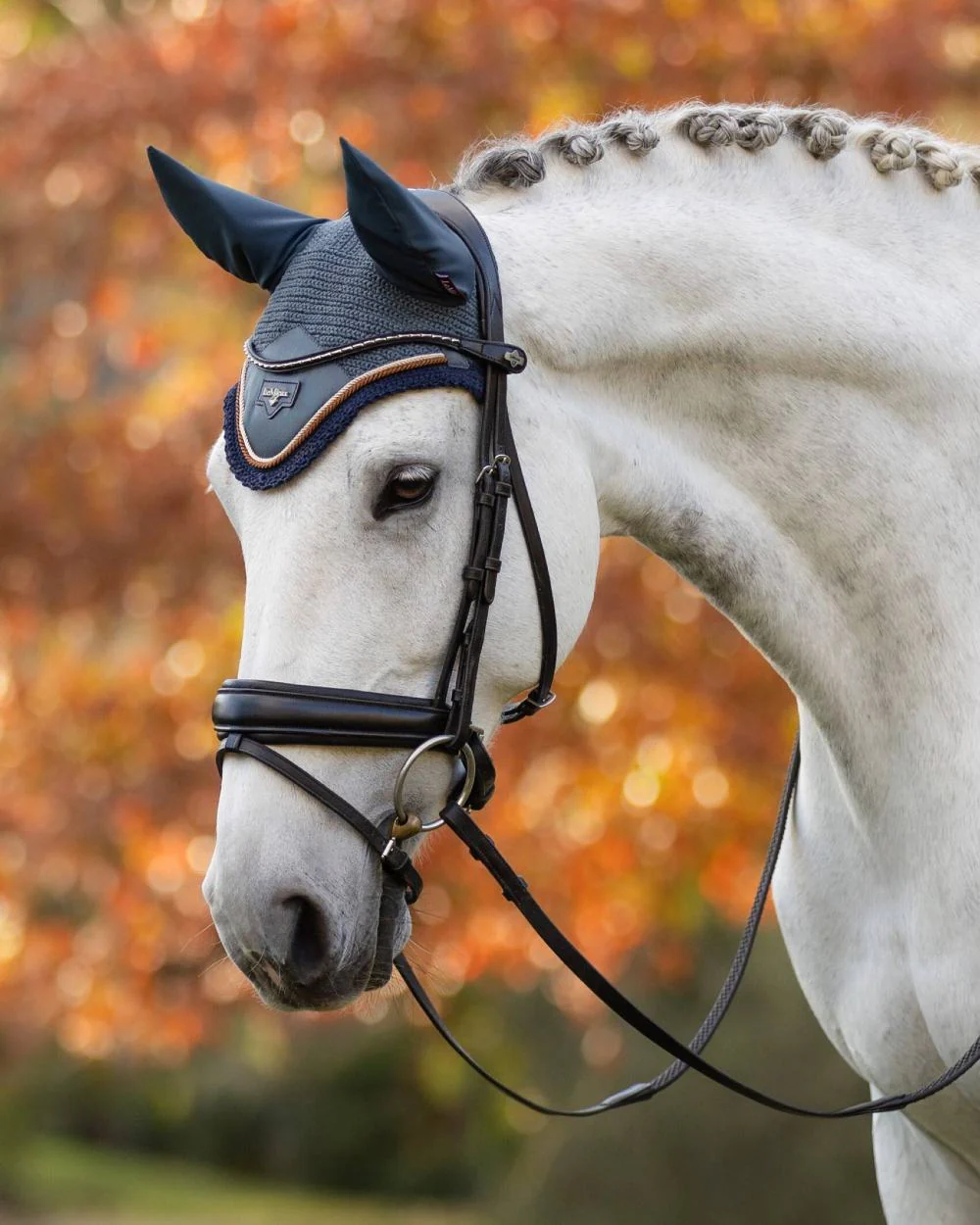 LeMieux Loire Fly Hood - Image 12