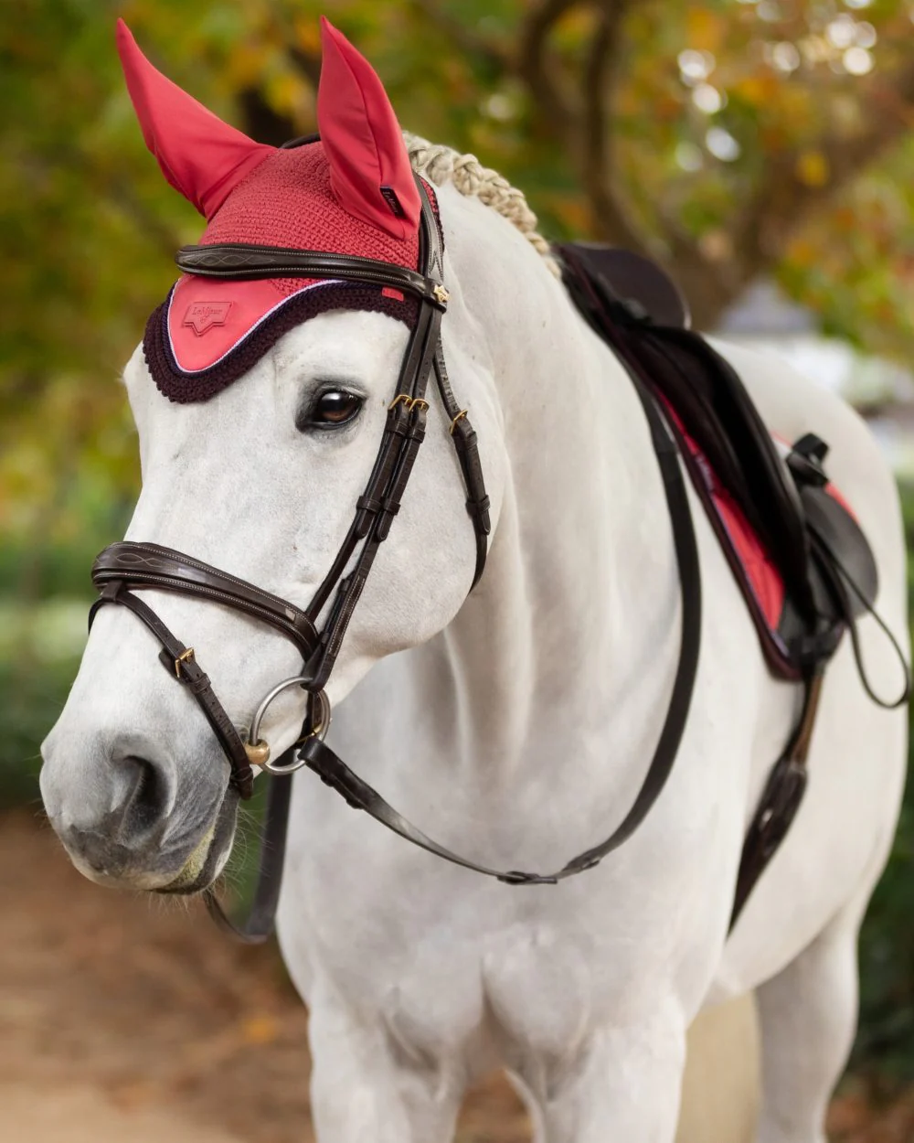 LeMieux Loire Fly Hood - Image 16