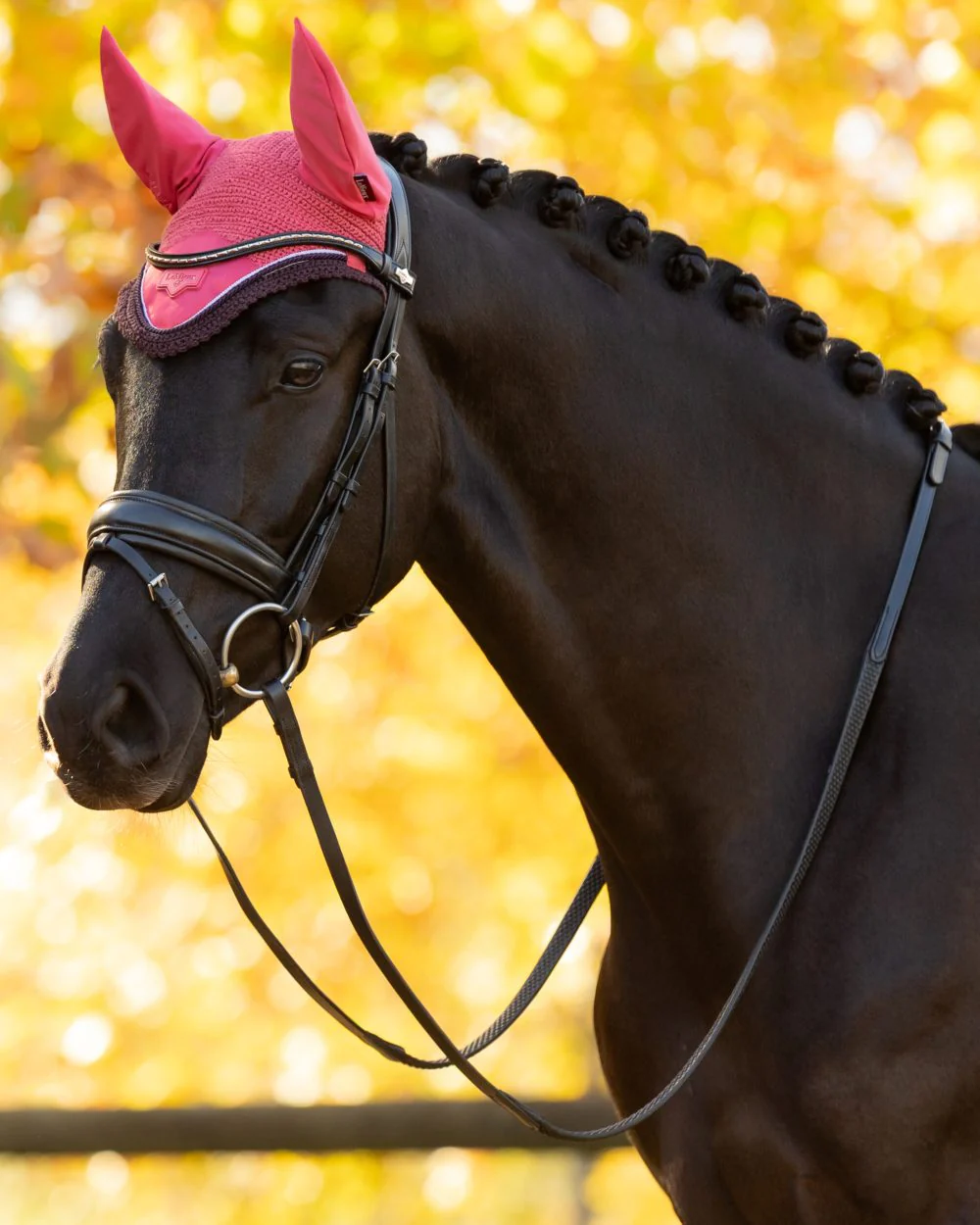 LeMieux Loire Fly Hood - Image 18