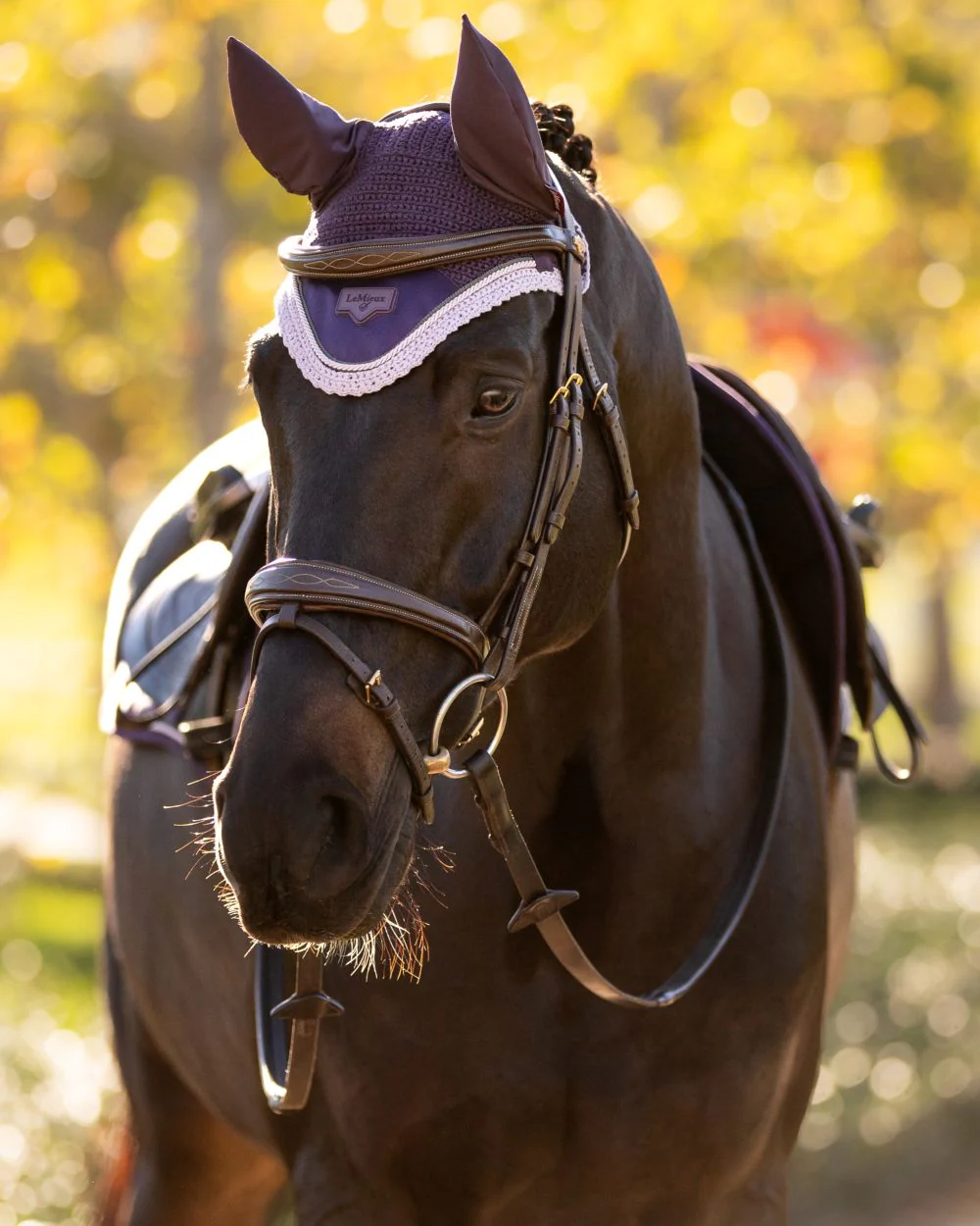 LeMieux Loire Fly Hood - Image 22