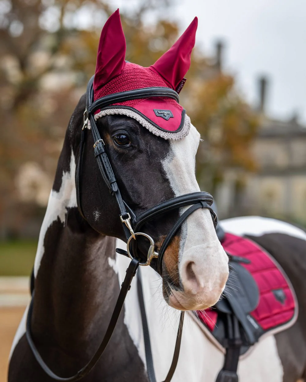 LeMieux Loire Fly Hood - Image 9