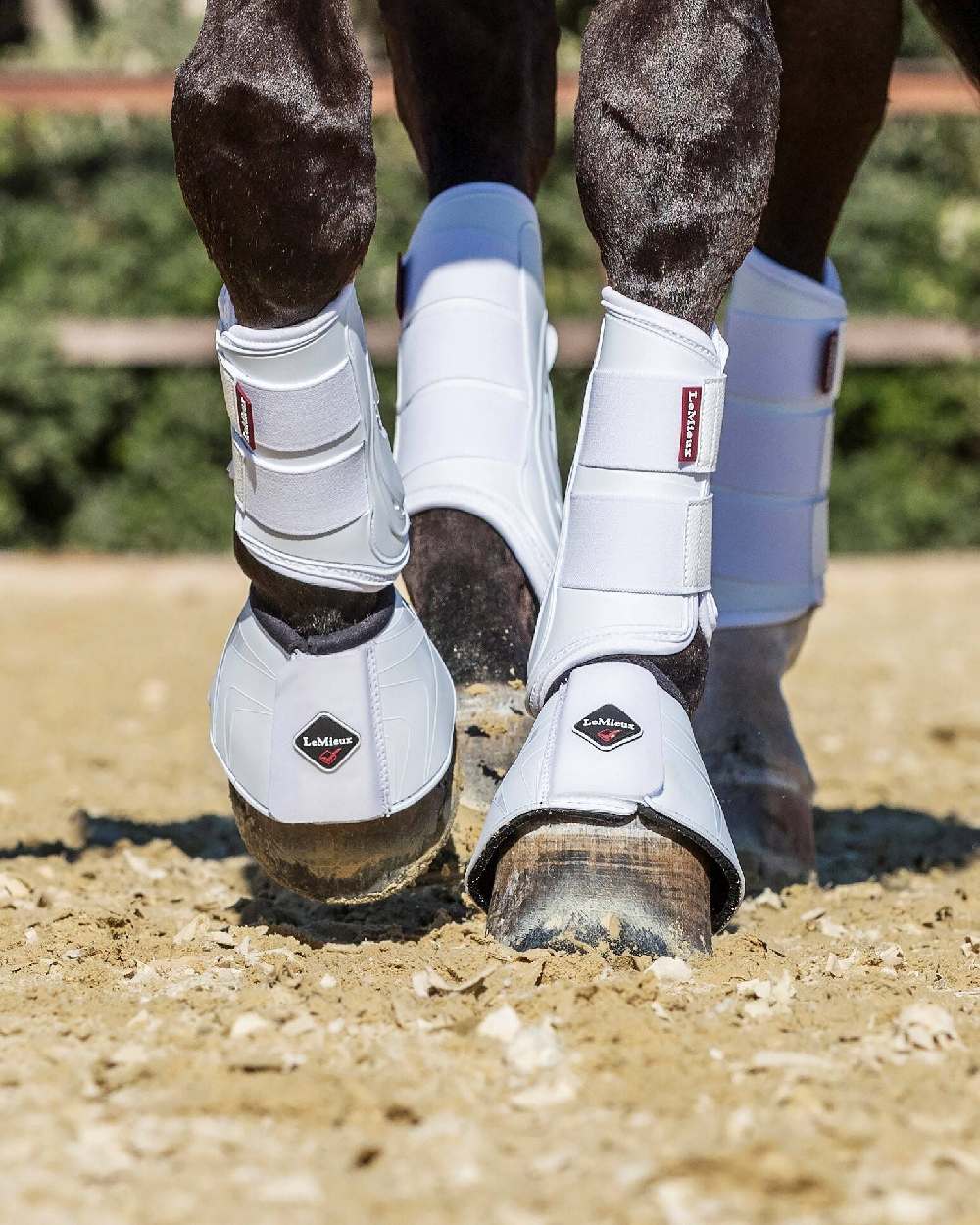LeMieux ProShell Over Reach Boots - Image 13
