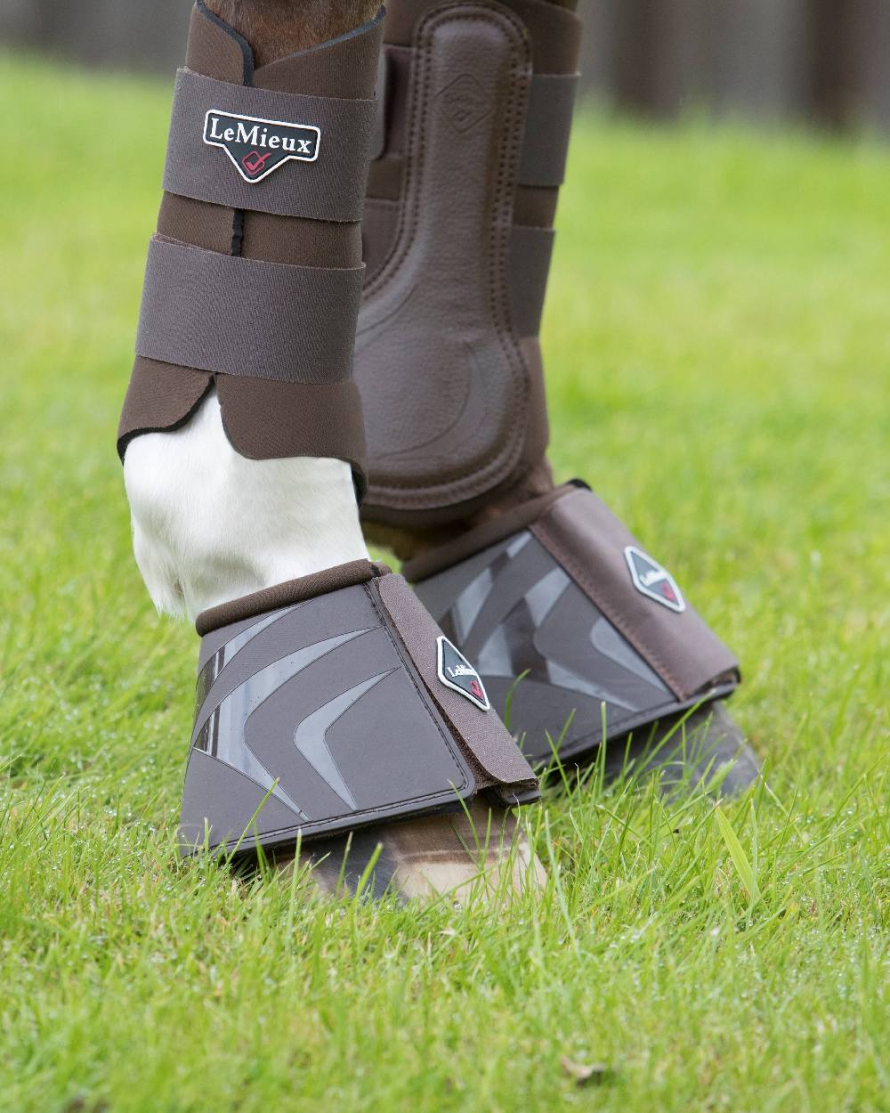 LeMieux ProShell Over Reach Boots - Image 7