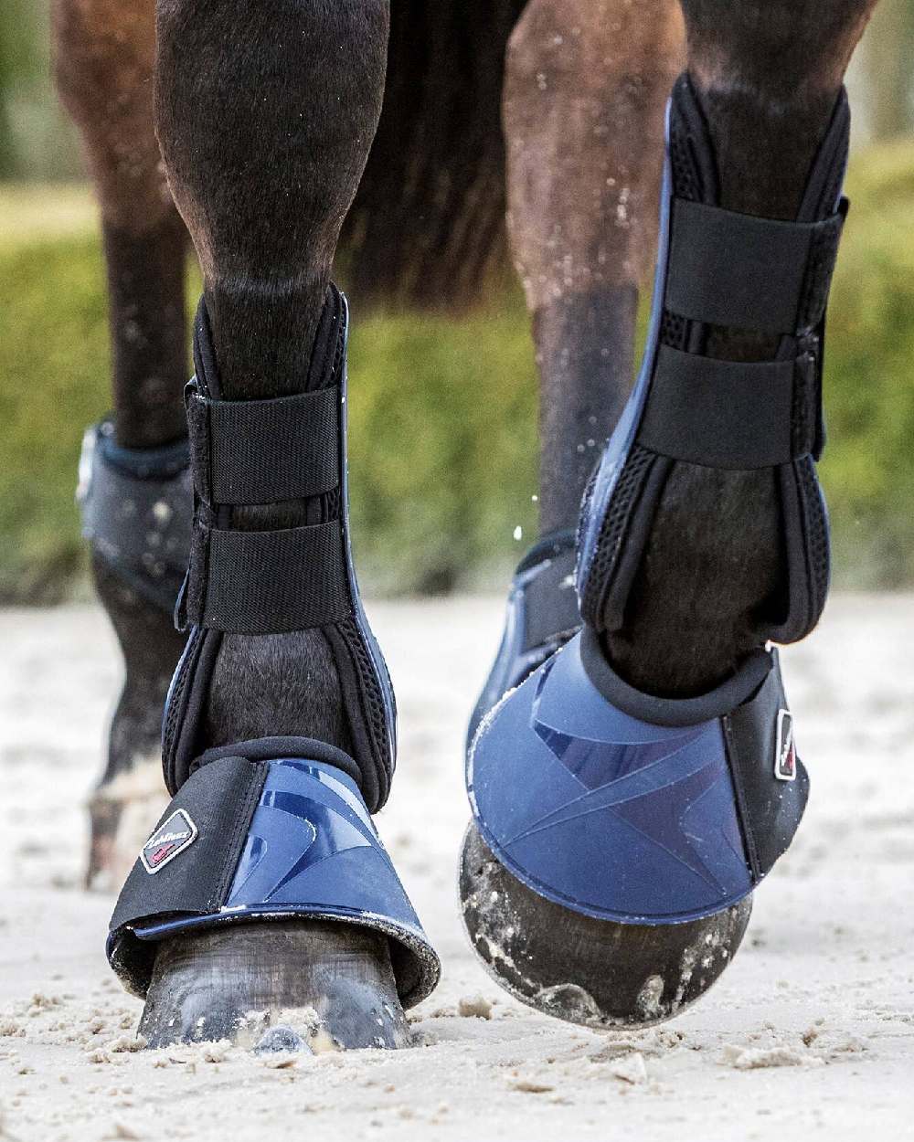 LeMieux ProShell Over Reach Boots - Image 9