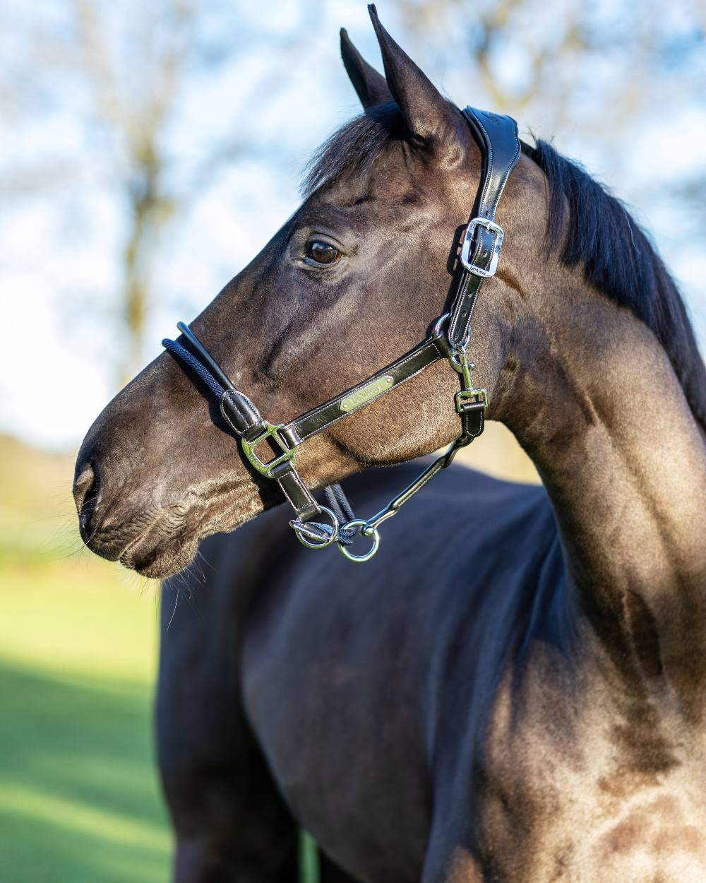 LeMieux Rope Control Headcollar - Image 2