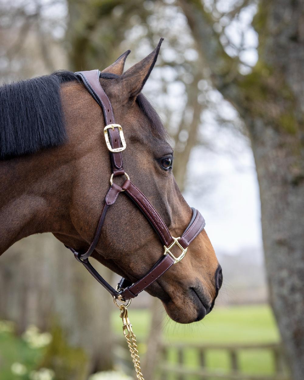 LeMieux Stitched Leather Headcollar - Image 10