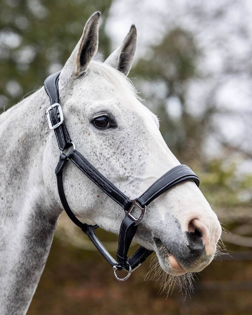 LeMieux Stitched Leather Headcollar - Image 6