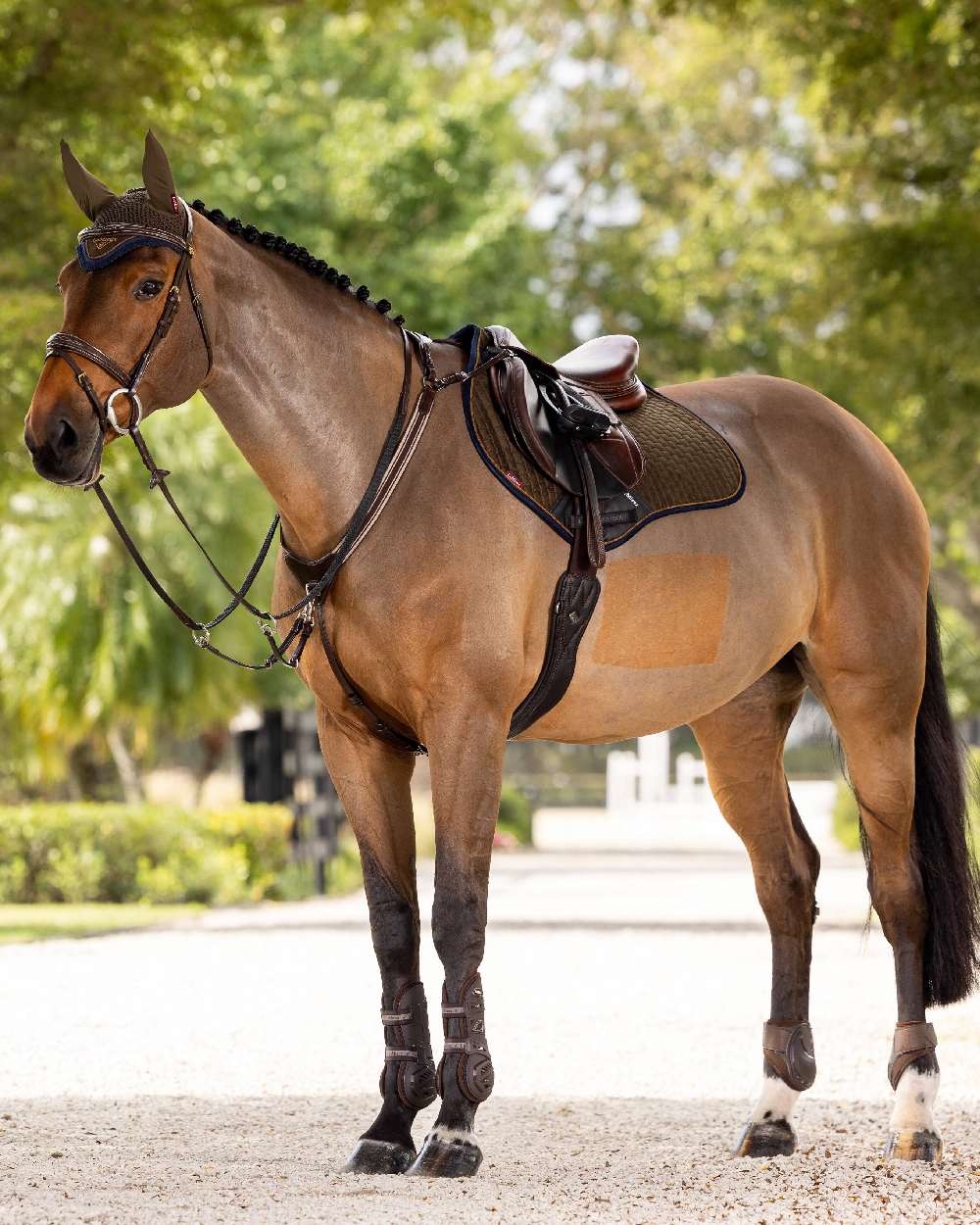 LeMieux Suede Close Contact Square Saddle Pad - Image 48