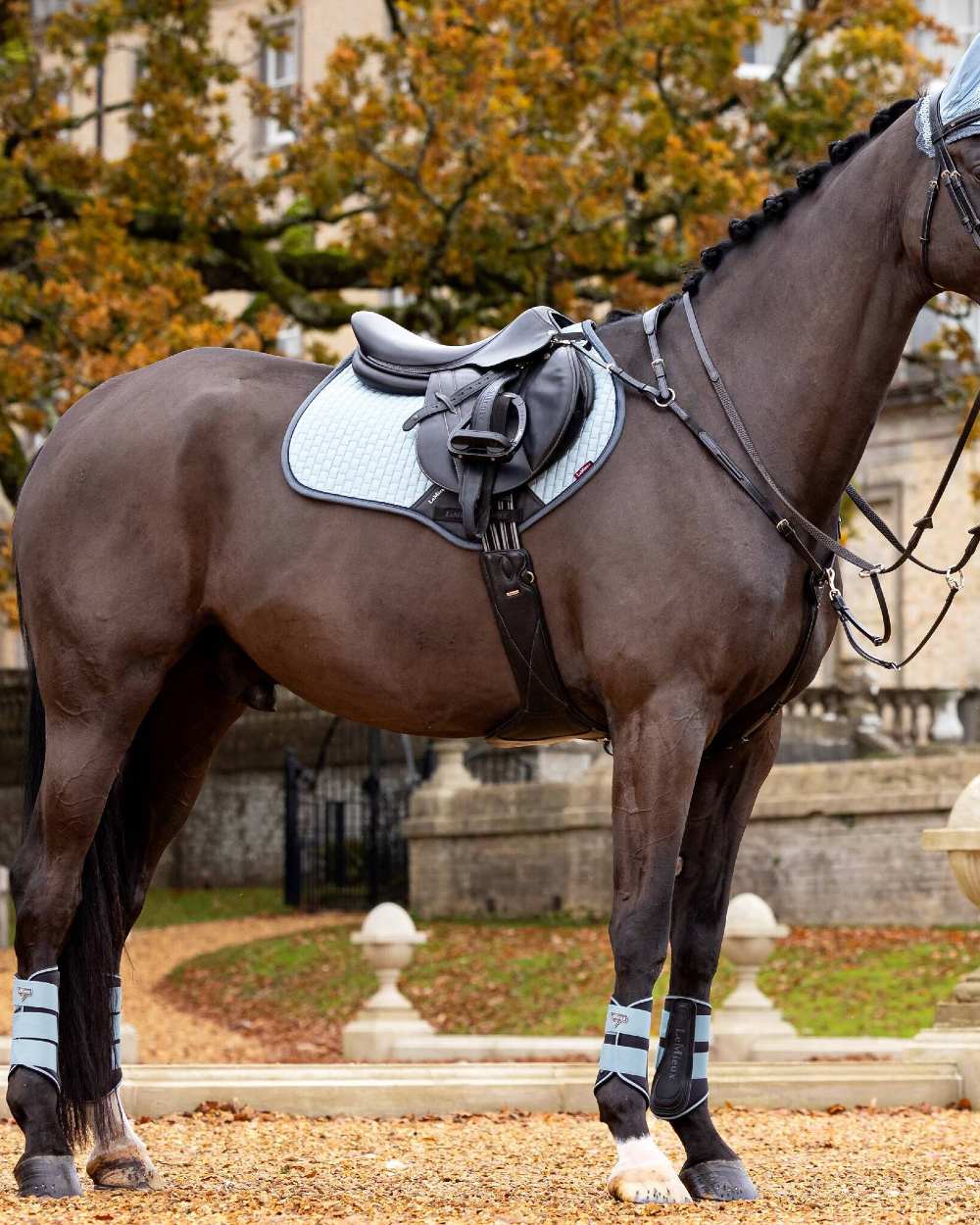 LeMieux Suede Close Contact Square Saddle Pad - Image 57