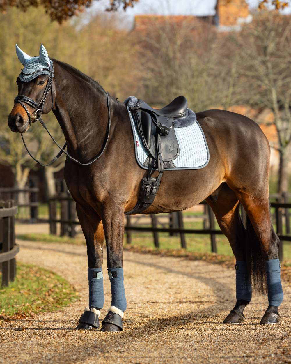LeMieux Suede Dressage Square - Image 8