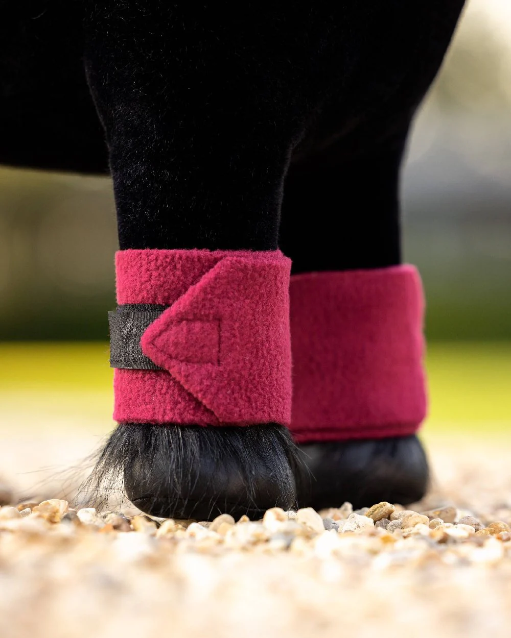 LeMieux Toy Pony Bandages - Image 18