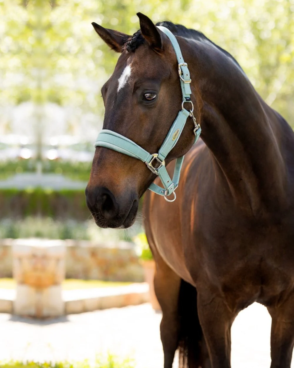 LeMieux Versailles Headcollar - Image 2