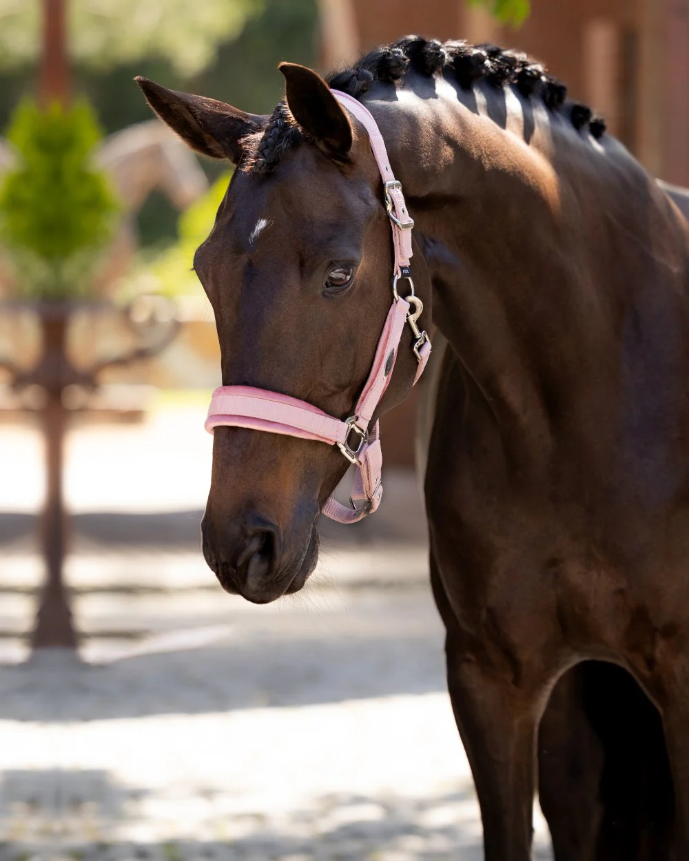 LeMieux Versailles Headcollar Clearance - Image 2