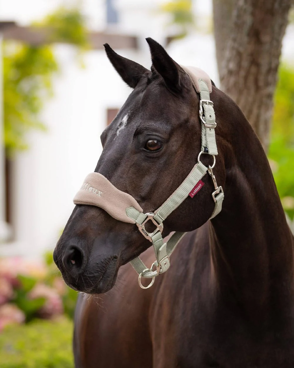 LeMieux Vogue Headcollar & Leadrope - Image 10