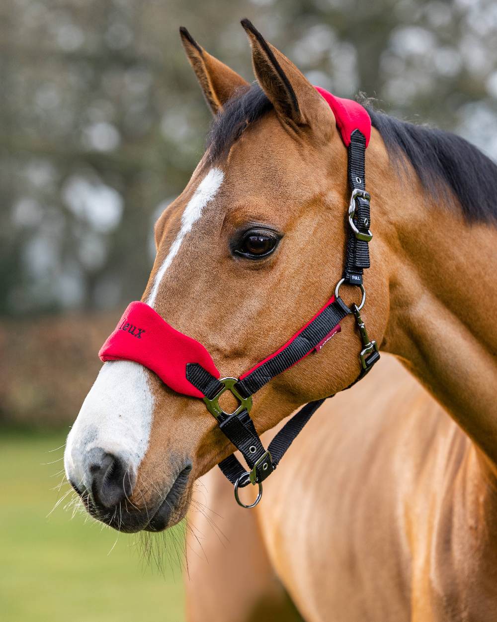 LeMieux Vogue Headcollar & Leadrope - Image 18