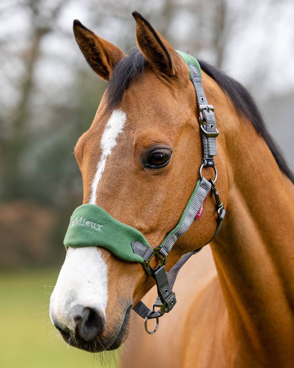 LeMieux Vogue Headcollar & Leadrope - Image 20
