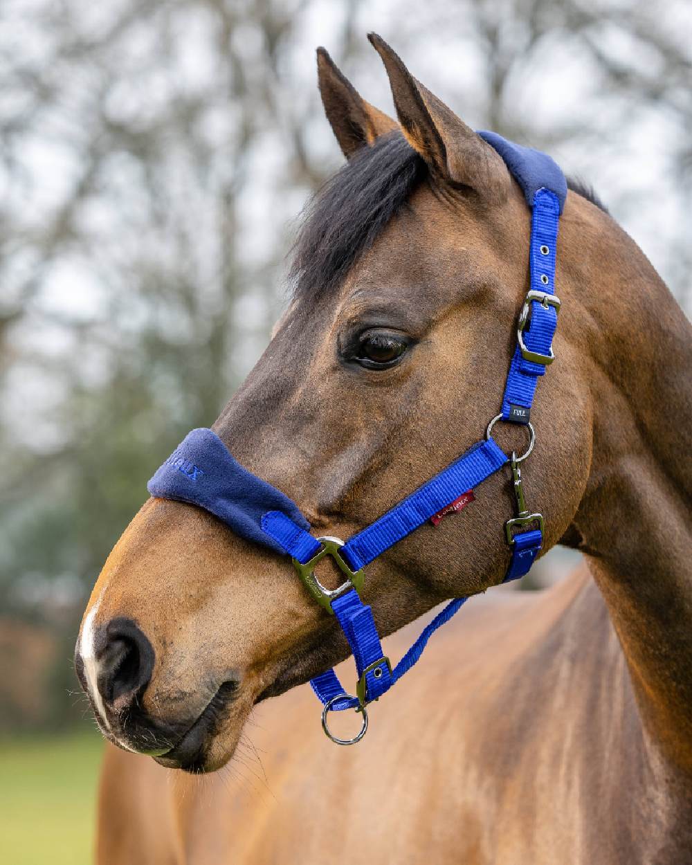 LeMieux Vogue Headcollar & Leadrope - Image 22