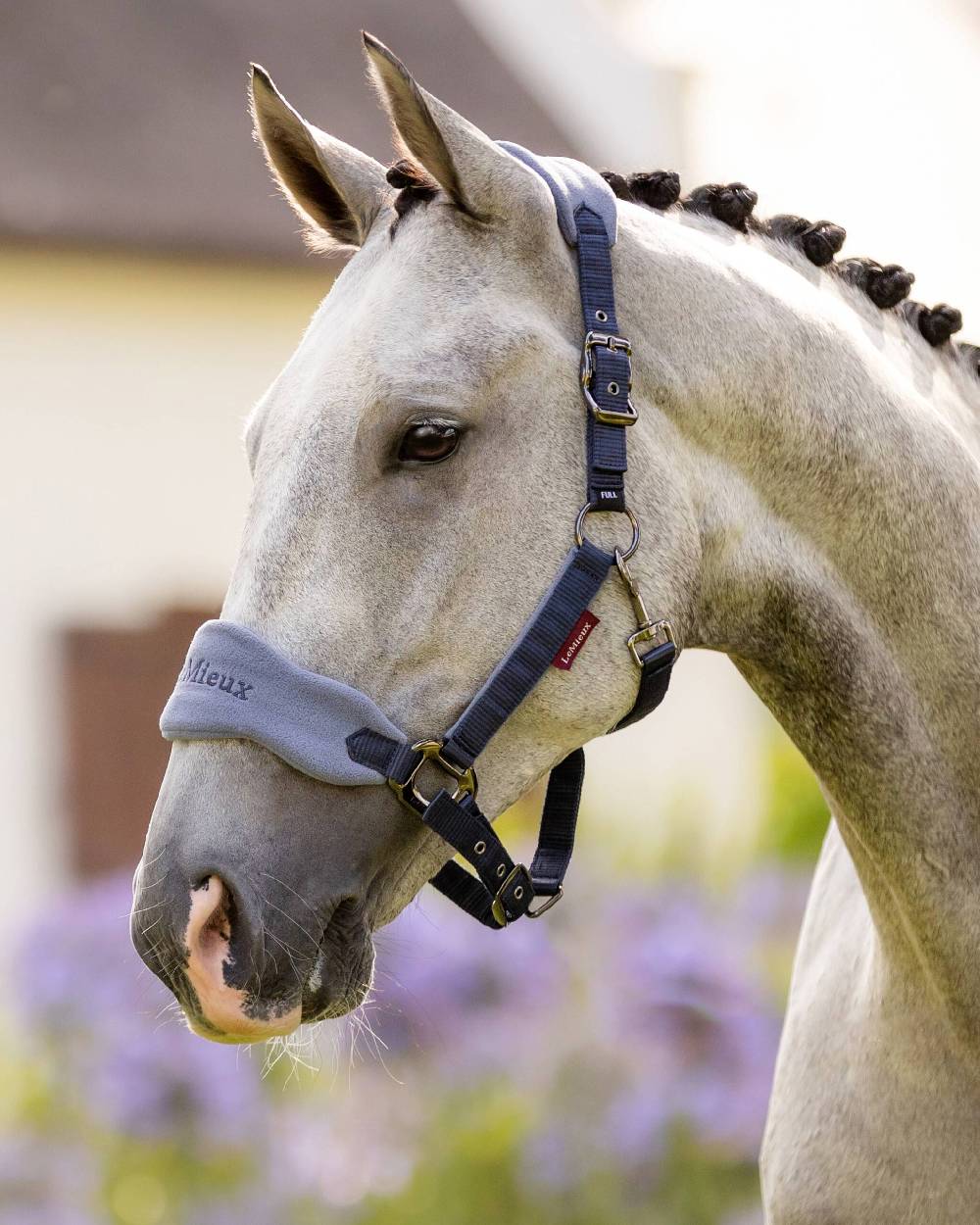 LeMieux Vogue Headcollar & Leadrope - Image 24