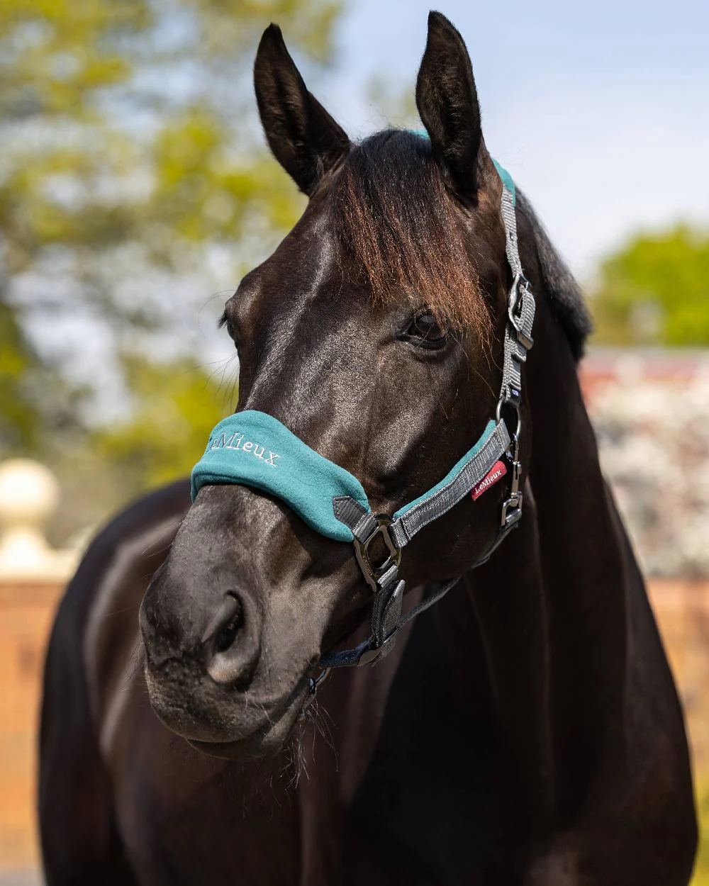 LeMieux Vogue Headcollar & Leadrope - Image 29