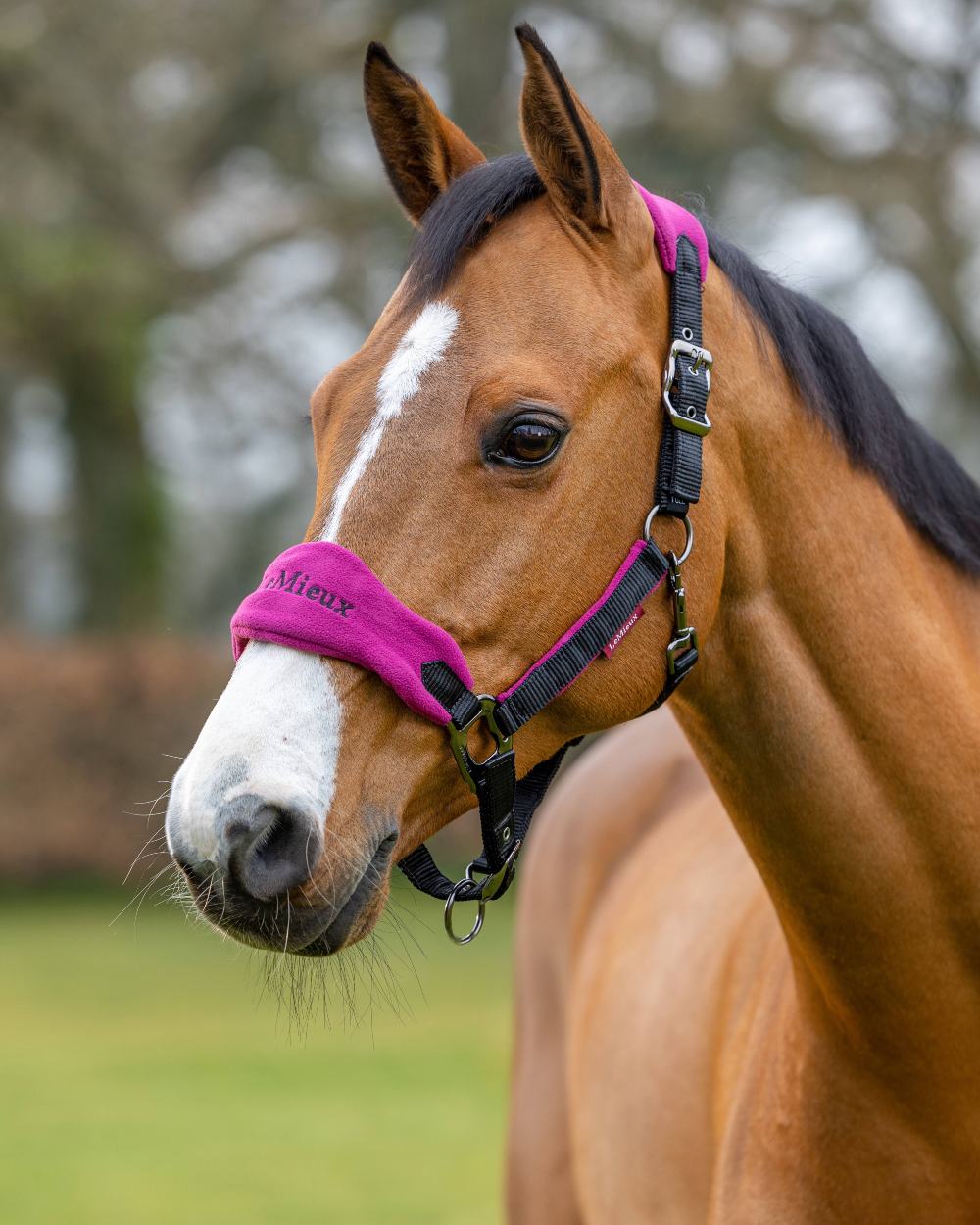 LeMieux Vogue Headcollar & Leadrope - Image 31