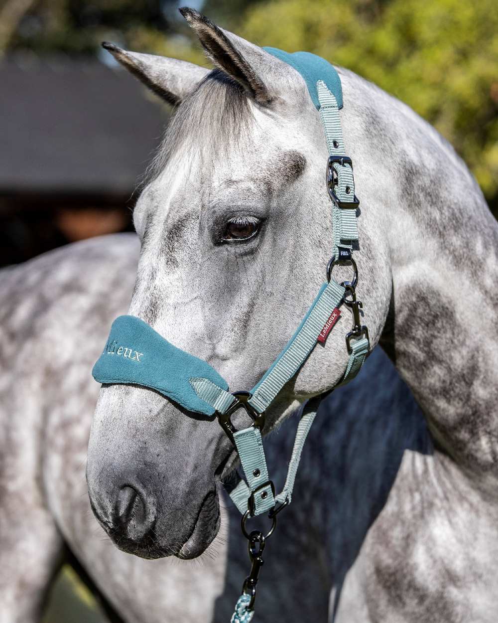 LeMieux Vogue Headcollar & Leadrope - Image 33