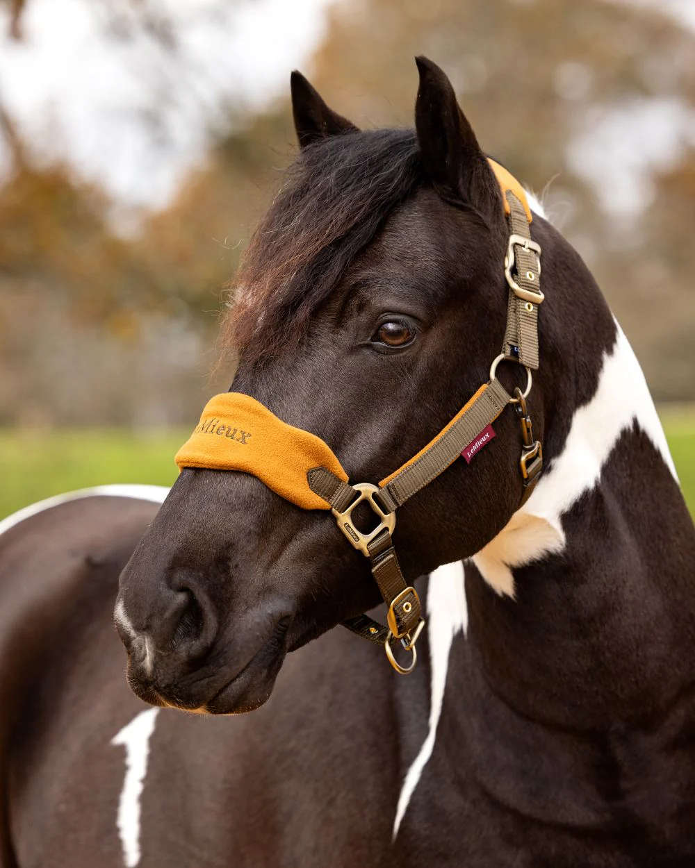 LeMieux Vogue Headcollar & Leadrope - Image 35